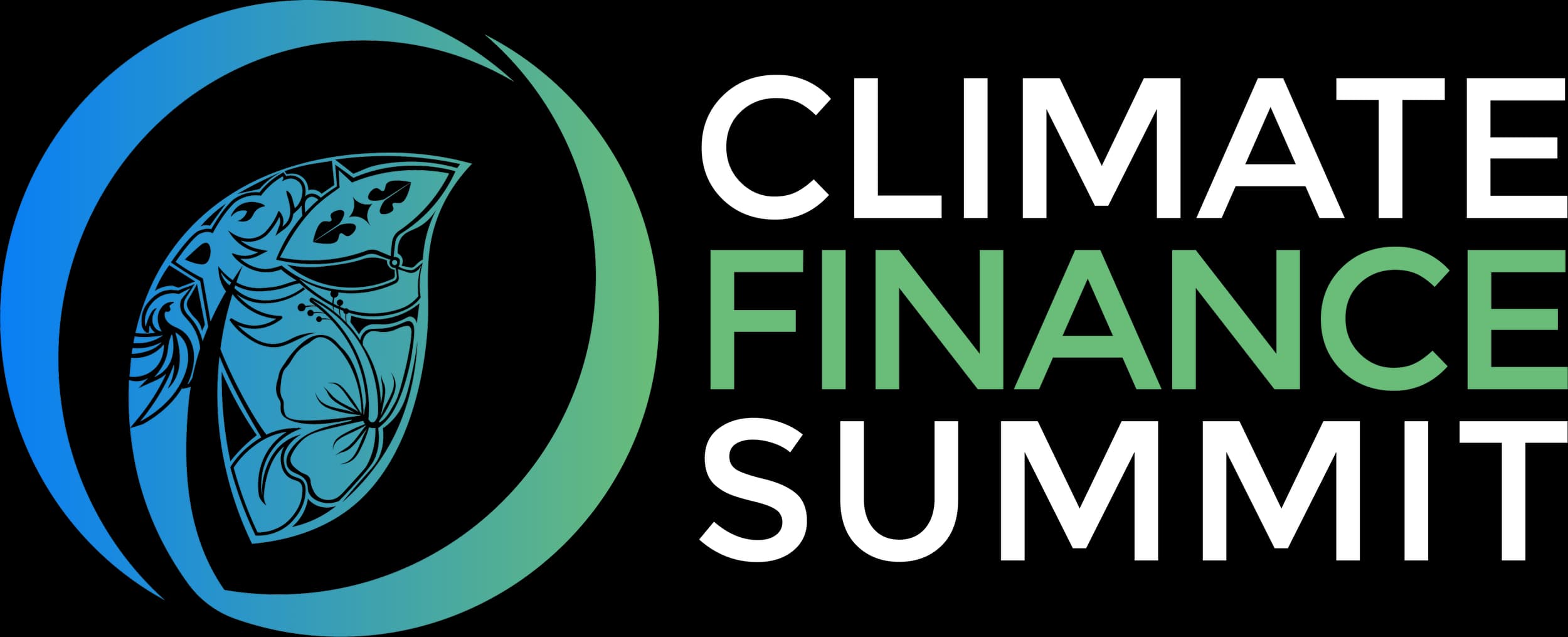 Financing Climate Resilience for a Green Transition