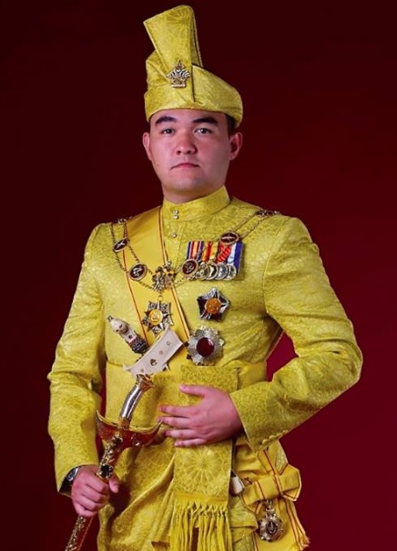 Raja Muda Selangor, DYTM Tengku Amir Shah Ibni Sultan Sharafuddin Idris Shah Alhaj